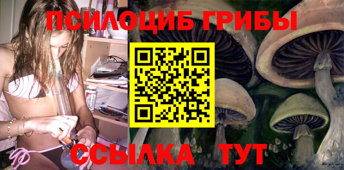Псилоцибиновые грибы Magic Shrooms Курган